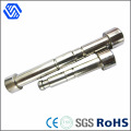 Round Head Special Stainless Steel Polishing Bolt